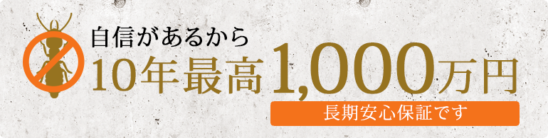 自信があるから10年最高1,000万円 長期安心保証です