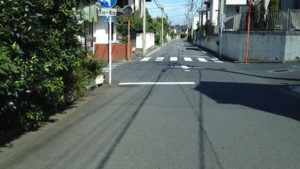 ⑤1本目