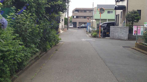 7 緑のアパート.jpg