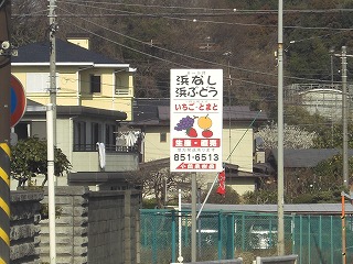 sekiya7.jpg